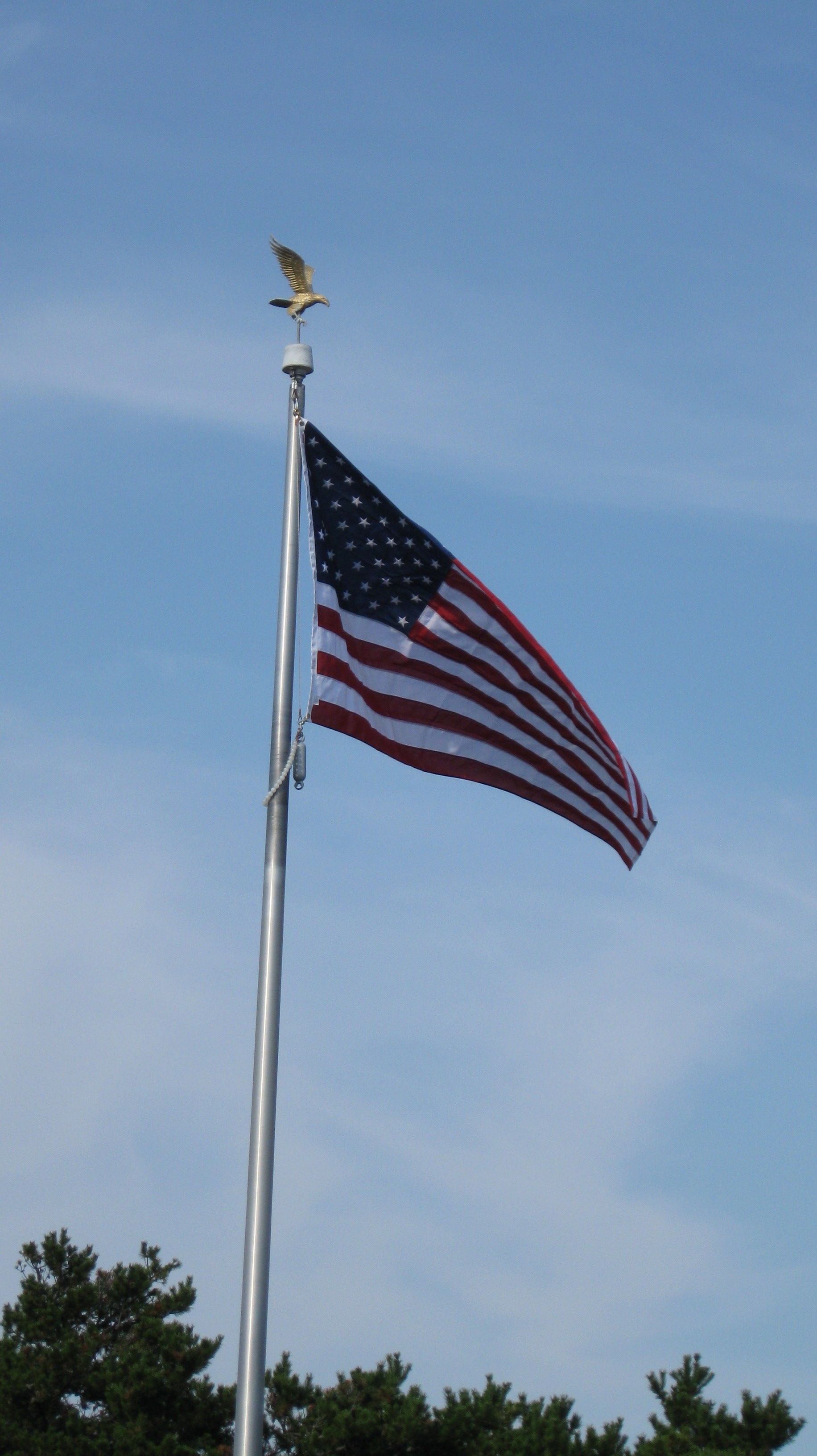 City Hall Flag