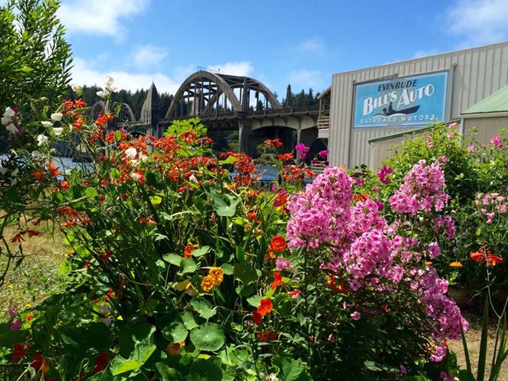 Interpretive Park Flowers