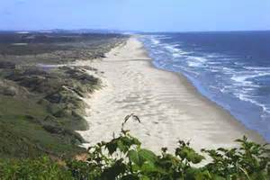 Beaches and Dunes